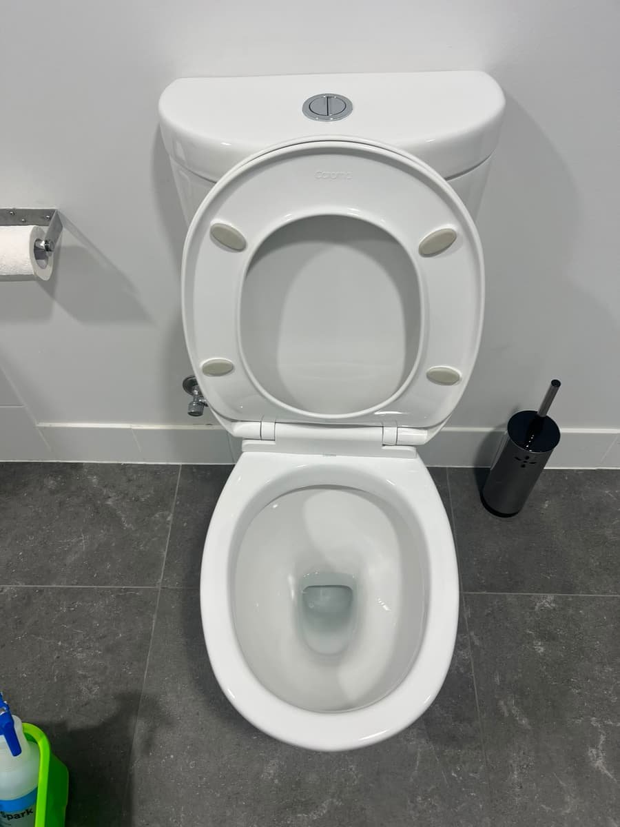 Toilet after detail clean — spotless bowl and fittings